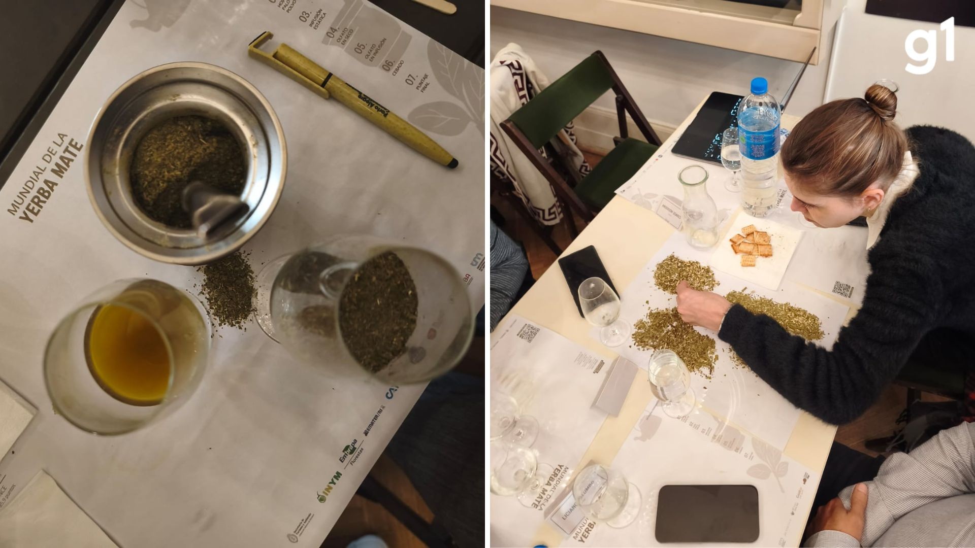 Ervateiras gaúchas levam medalhas de ouro no primeiro mundial de erva-mate, realizado na Argentina